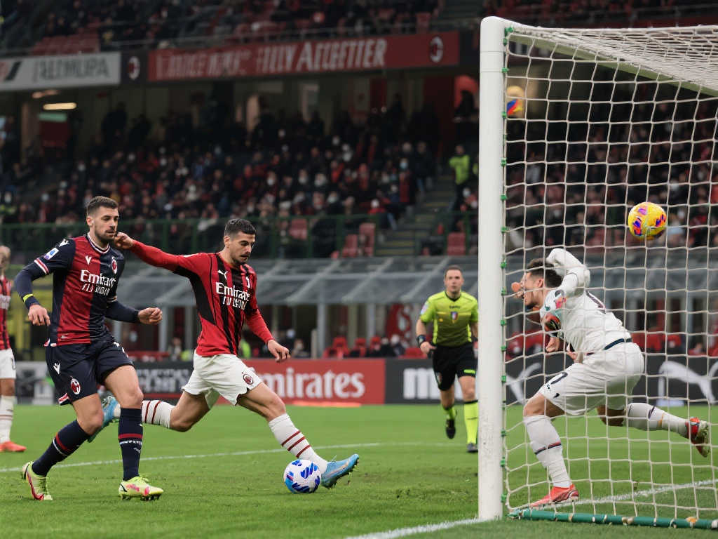 幾輪將更加 幾輪將更加